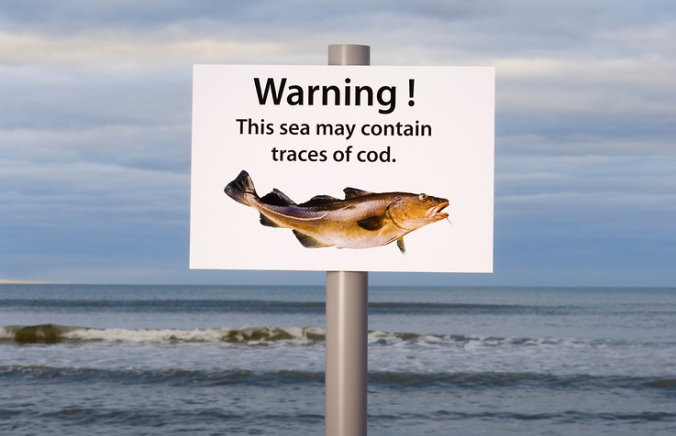 Spoof warning sign - cod by Niall Benvie